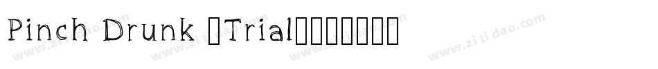 Pinch Drunk (Trial)字体转换